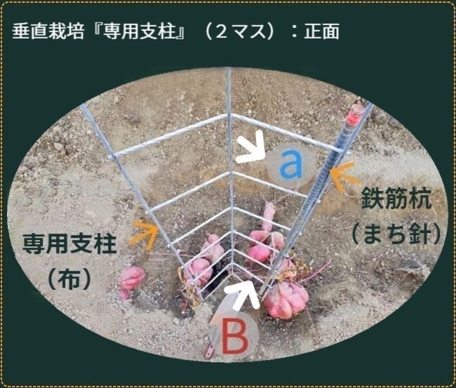 専用支柱を手前上から見た状態