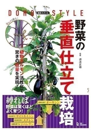 園芸用支柱を脚立の上からハンマーで打ち込んでいる状態