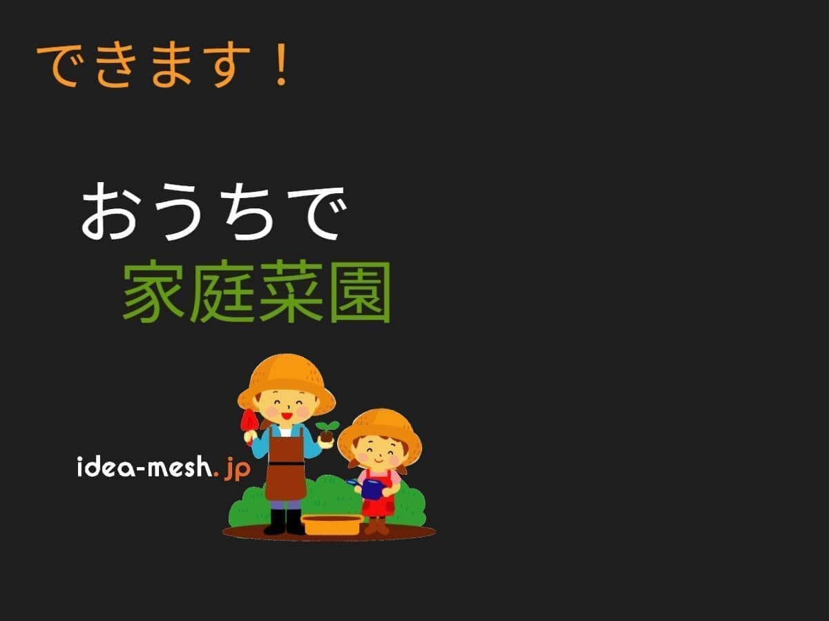 できます！おうちで家庭菜園