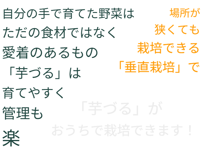 場所が狭くても栽培できる「垂直栽培」で今後は 「芋づる」がおうちで栽培できます！自分の手で育てた野菜はただの食材ではなく愛着のあるもの「芋づる」は育てやすく管理も楽です。