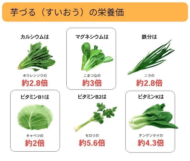 芋づる（すいおう）はホウレンソウ比Ca約2.8倍、小松菜比Mg約3倍、ニラ比Fe約2.8倍、キャベツ比B1約2倍、セロリ比B2約5.6倍、チンゲンサイ比K約4.3倍の栄養価