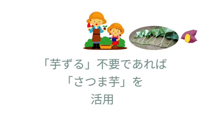 「芋ずる」不要であれば「さつま芋」を活用
