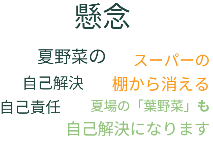今後、猛暑でスーパーの棚から消える夏場の「葉野菜」も自己解決になります。懸念、夏野菜の自己解決、自己責任