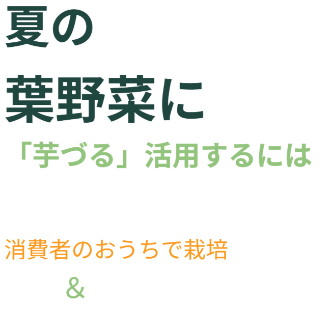 夏の葉野菜に「芋づる」活用するには、芋づるを市場に乗せないで消費者のおうちで栽培＆欠かせないものが「垂直栽培」です。