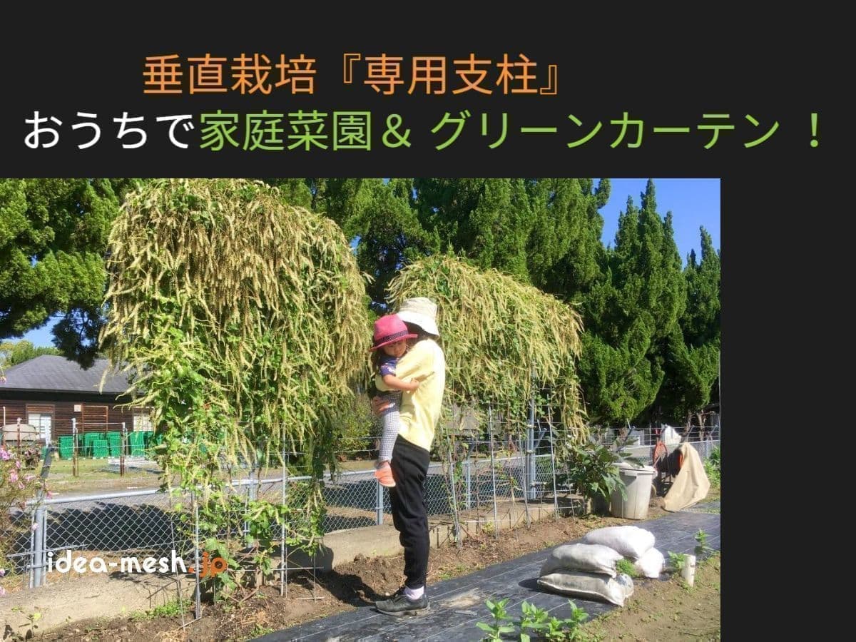 垂直栽培『専用支柱』／おうちで家庭菜園＆グリーンカーテン！ ※写真はバラ用支柱を「オカワケメ」で使用している前に子供を抱いた女性が立っている状態