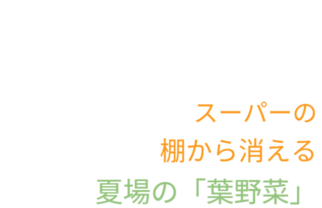 今後、猛暑でスーパーの棚から消える夏場の「葉野菜」も自己解決になります。懸念、夏野菜の自己解決、自己責任