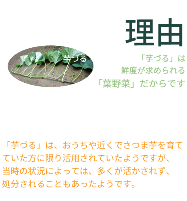 理由としては、「芋づる」は鮮度が求められる「葉野菜」だからです。また「芋づる」を地産地消で栽培しても、収穫、出荷配送で大変なコストが必要で鮮度も落ちます。「芋づる」はおうちや近くでさつまいもを栽培している方のみ活用できました。