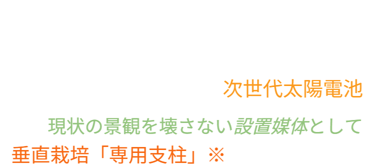 防犯カメラに頼るしかない現状を踏まえつつ、商業施設以外の生活空間では、防犯カメラの存在が雰囲気や景観を損なう可能性があることを指摘しています。
