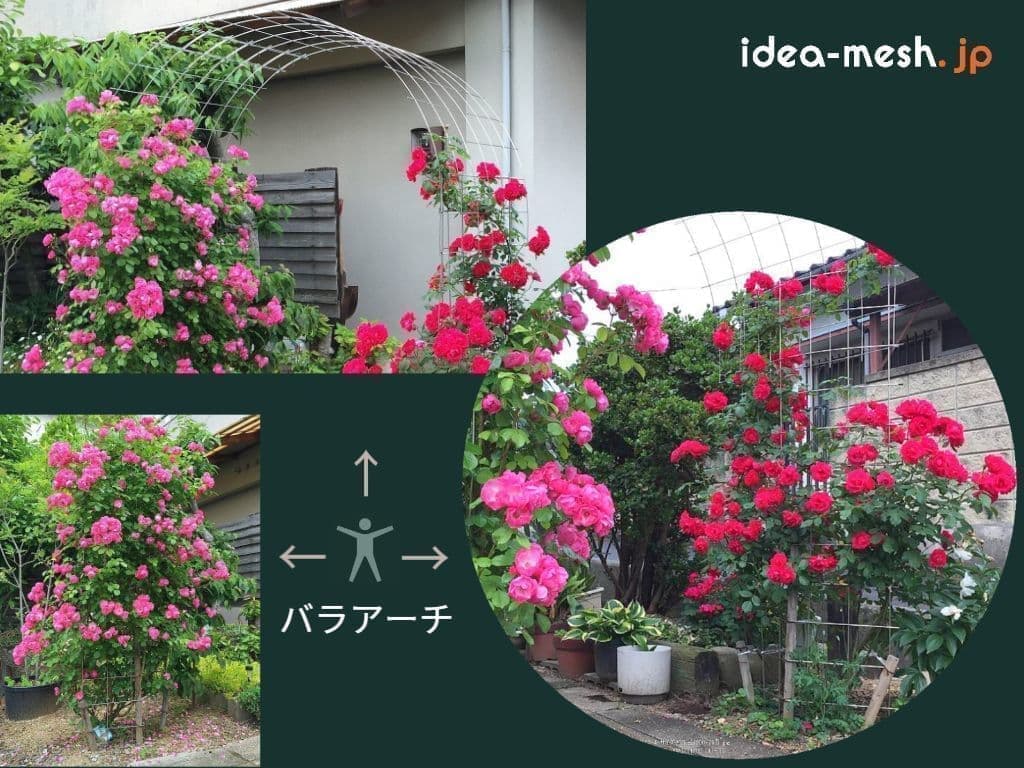 バラ用支柱を使ったお庭の状態（イルミネーション）