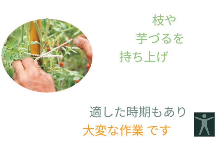 「バラ用支柱」のコンセプト画像。「目線の高さで楽しめる垂直栽培の魅力」。高さ200cmの支柱が、花や緑を人の視界レベル（アイレベル）まで持ち上げ、美しい景観を作ると同時に、外部からの視線を自然に遮る「見せないガード」としての機能を示唆。 / Concept text: "Charm of Vertical Cultivation enjoyed at Eye Level." Indicates that the 200cm trellis lifts plants to human height, creating a beautiful floral landscape that also serves as a natural privacy shield against outside eyes.