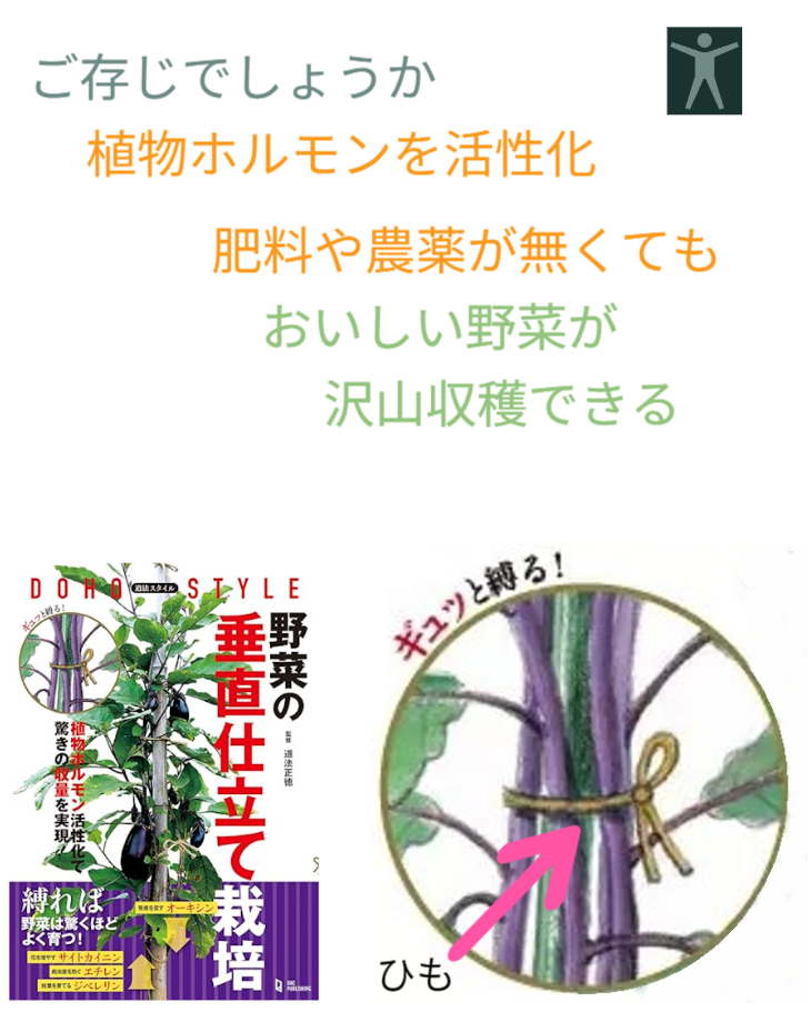 「バラ用支柱」のコンセプト画像。「目線の高さで楽しめる垂直栽培の魅力」。高さ200cmの支柱が、花や緑を人の視界レベル（アイレベル）まで持ち上げ、美しい景観を作ると同時に、外部からの視線を自然に遮る「見せないガード」としての機能を示唆。 / Concept text: "Charm of Vertical Cultivation enjoyed at Eye Level." Indicates that the 200cm trellis lifts plants to human height, creating a beautiful floral landscape that also serves as a natural privacy shield against outside eyes.