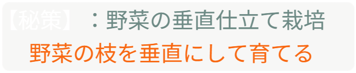 「バラ用支柱」のコンセプト画像。「目線の高さで楽しめる垂直栽培の魅力」。高さ200cmの支柱が、花や緑を人の視界レベル（アイレベル）まで持ち上げ、美しい景観を作ると同時に、外部からの視線を自然に遮る「見せないガード」としての機能を示唆。 / Concept text: "Charm of Vertical Cultivation enjoyed at Eye Level." Indicates that the 200cm trellis lifts plants to human height, creating a beautiful floral landscape that also serves as a natural privacy shield against outside eyes.