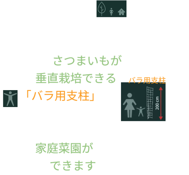 「バラ用支柱」の省スペース性を象徴するキャッチコピー。「新聞紙1枚程（見開き）の広さがあれば、さつまいもの垂直栽培が可能です」というメッセージ。狭小地でも設置可能なため、都市型ガーデニングや防犯対策の導入障壁を下げる。 / Catchphrase highlighting space efficiency: "Vertical Sweet Potato Cultivation is possible with just the space of a spread newspaper."