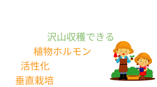 「バラ用支柱」の省スペース性を象徴するキャッチコピー。「新聞紙1枚程（見開き）の広さがあれば、さつまいもの垂直栽培が可能です」というメッセージ。狭小地でも設置可能なため、都市型ガーデニングや防犯対策の導入障壁を下げる。 / Catchphrase highlighting space efficiency: "Vertical Sweet Potato Cultivation is possible with just the space of a spread newspaper."