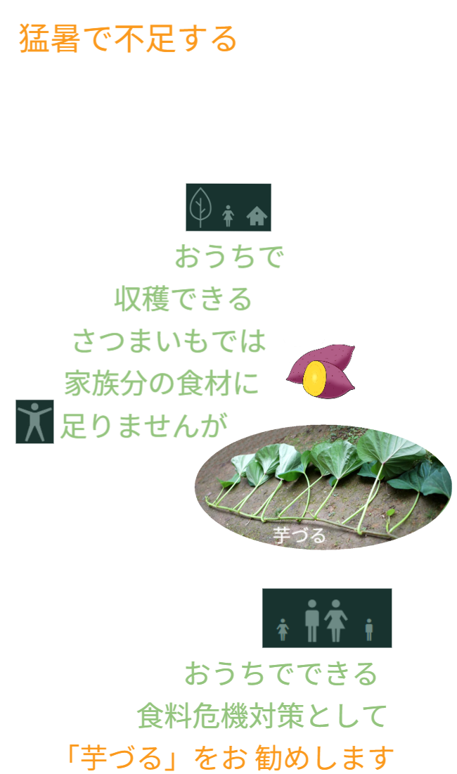 「バラ用支柱」の省スペース性を象徴するキャッチコピー。「新聞紙1枚程（見開き）の広さがあれば、さつまいもの垂直栽培が可能です」というメッセージ。狭小地でも設置可能なため、都市型ガーデニングや防犯対策の導入障壁を下げる。 / Catchphrase highlighting space efficiency: "Vertical Sweet Potato Cultivation is possible with just the space of a spread newspaper."