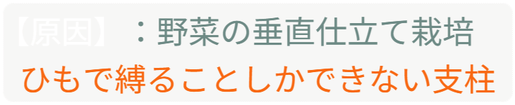 「バラ用支柱」のコンセプト画像。「目線の高さで楽しめる垂直栽培の魅力」。高さ200cmの支柱が、花や緑を人の視界レベル（アイレベル）まで持ち上げ、美しい景観を作ると同時に、外部からの視線を自然に遮る「見せないガード」としての機能を示唆。 / Concept text: "Charm of Vertical Cultivation enjoyed at Eye Level." Indicates that the 200cm trellis lifts plants to human height, creating a beautiful floral landscape that also serves as a natural privacy shield against outside eyes.