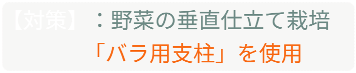 「バラ用支柱」のコンセプト画像。「目線の高さで楽しめる垂直栽培の魅力」。高さ200cmの支柱が、花や緑を人の視界レベル（アイレベル）まで持ち上げ、美しい景観を作ると同時に、外部からの視線を自然に遮る「見せないガード」としての機能を示唆。 / Concept text: "Charm of Vertical Cultivation enjoyed at Eye Level." Indicates that the 200cm trellis lifts plants to human height, creating a beautiful floral landscape that also serves as a natural privacy shield against outside eyes.