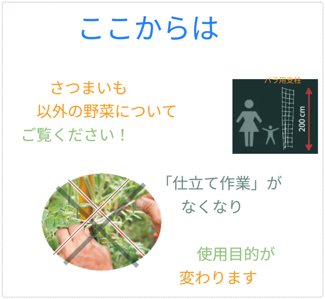 「バラ用支柱」の省スペース性を象徴するキャッチコピー。「新聞紙1枚程（見開き）の広さがあれば、さつまいもの垂直栽培が可能です」というメッセージ。狭小地でも設置可能なため、都市型ガーデニングや防犯対策の導入障壁を下げる。 / Catchphrase highlighting space efficiency: "Vertical Sweet Potato Cultivation is possible with just the space of a spread newspaper."