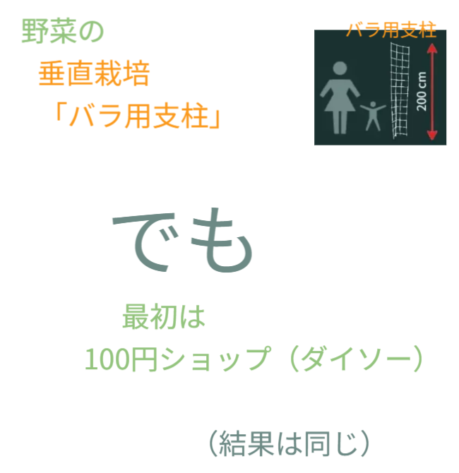 「バラ用支柱」の省スペース性を象徴するキャッチコピー。「新聞紙1枚程（見開き）の広さがあれば、さつまいもの垂直栽培が可能です」というメッセージ。狭小地でも設置可能なため、都市型ガーデニングや防犯対策の導入障壁を下げる。 / Catchphrase highlighting space efficiency: "Vertical Sweet Potato Cultivation is possible with just the space of a spread newspaper."