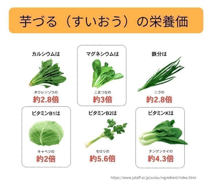 芋づる（すいおう）はホウレンソウ比Ca約2.8倍、小松菜比Mg約3倍、ニラ比Fe約2.8倍、キャベツ比B1約2倍、セロリ比B2約5.6倍、チンゲンサイ比K約4.3倍の栄養価