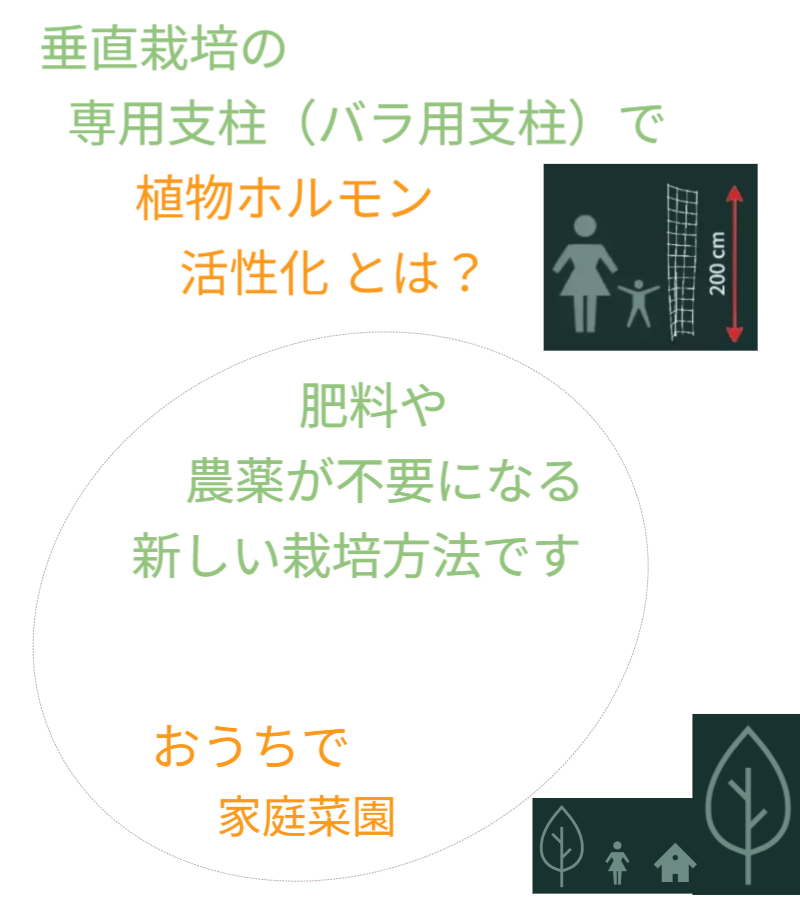 アイデアメッシュの理念（夢）を伝えるメッセージ画像。ロゴと共に「犯罪の少ない安心なまちづくり」というビジョンを掲げ、バラ用支柱がその一助となることを願う宣言文。前半の「機能解説」から、後半の「社会実装」へとテーマを繋ぐ、サイト構成上の重要な分岐点。 / Corporate philosophy image featuring the "Idea Mesh" logo and the word "Dream." Declares the vision of "building safe towns with less crime," expressing the hope that the Rose Trellis will serve this cause. Acts as a strategic bridge moving from product features to social implementation.