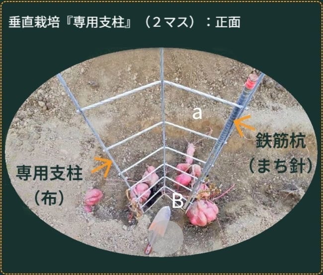 専用支柱を手前上から見た状態
