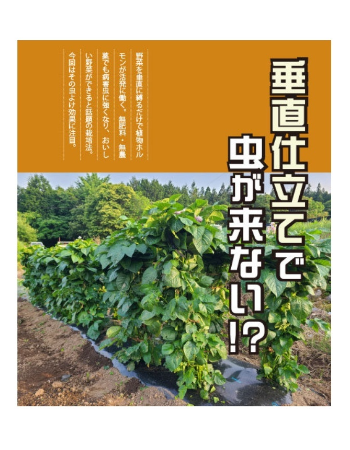 参考資料：雑誌「現代農業」2026年6月号の垂直仕立て特集