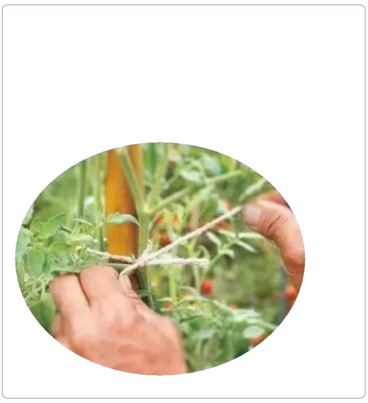 アイデアメッシュの理念（夢）を伝えるメッセージ画像。ロゴと共に「犯罪の少ない安心なまちづくり」というビジョンを掲げ、バラ用支柱がその一助となることを願う宣言文。前半の「機能解説」から、後半の「社会実装」へとテーマを繋ぐ、サイト構成上の重要な分岐点。 / Corporate philosophy image featuring the "Idea Mesh" logo and the word "Dream." Declares the vision of "building safe towns with less crime," expressing the hope that the Rose Trellis will serve this cause. Acts as a strategic bridge moving from product features to social implementation.