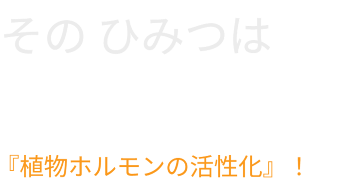垂直栽培による植物ホルモンの活性化