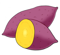 ※写真はさつまいものクリップアート