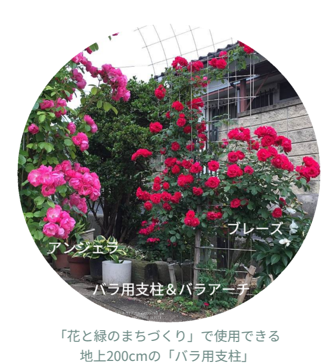 「花と緑のまちづくり」で使用できる地上200cmのバラ用支柱を紹介しています。アンジェラやブリーズなどの品種が支柱に美しく絡み、景観設計と品種選定の思想が融合したガーデン構成を示しています。