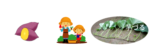 「芋ずる」不要であれば「さつま芋」を活用