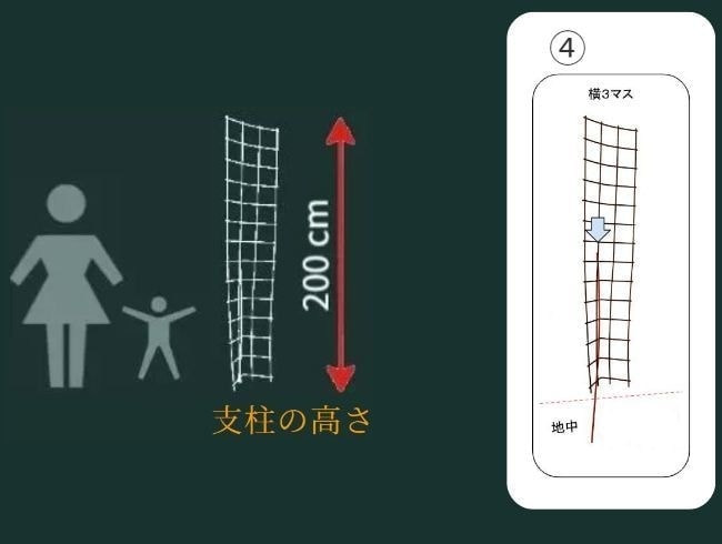 構造的特徴の再確認（四角枠詳細図）。前半で示した200cmの支柱がなぜ倒れないのか、その理由となる「地中深くに食い込む鉄筋杭構造（意匠登録済）」に焦点を当てる。見た目はシンプルだが、工学的に計算された「抜けにくさ」と「倒れにくさ」が、このオンリーワンの強度を支えていることを解説。 / Reconfirmation of structural features (Detailed Square Diagram). Focuses on the "underground steel stake structure (Design Registered)" that explains why the 200cm trellis shown earlier stands firm. Explains that the engineering-calculated stability and resistance to removal support this "Only One" strength despite its simple look.