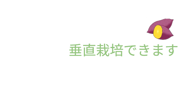 「バラ用支柱」の省スペース性を象徴するキャッチコピー。「新聞紙1枚程（見開き）の広さがあれば、さつまいもの垂直栽培が可能です」というメッセージ。狭小地でも設置可能なため、都市型ガーデニングや防犯対策の導入障壁を下げる。 / Catchphrase highlighting space efficiency: "Vertical Sweet Potato Cultivation is possible with just the space of a spread newspaper."