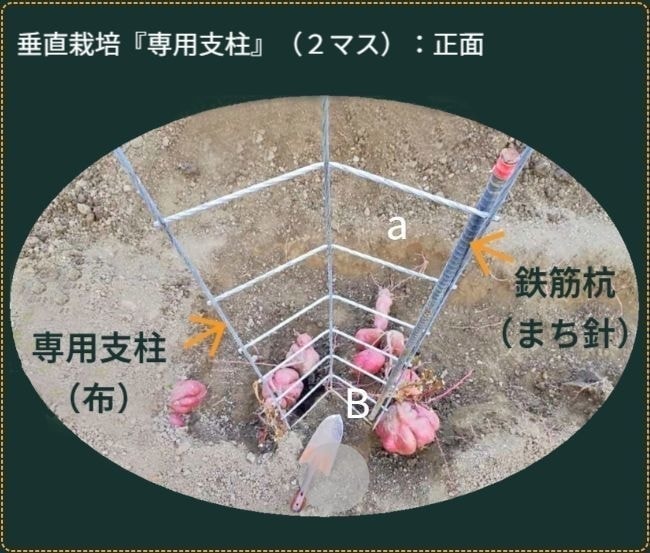 専用支柱を手前上から見た状態