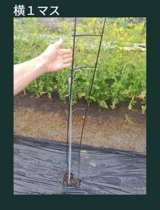アイデアメッシュのマスコット