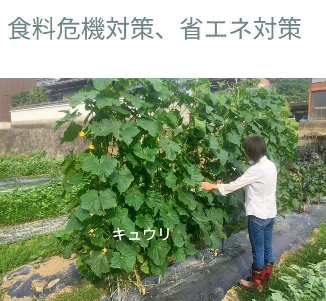 設置場所の自由度（結論）。「建物が無くても地上200cmの『バラ用支柱』が壁面として利用できます」。庭の真ん中 や境界線など、土さえあればどこにでも「独立した壁」を作れる画期的なメリットを強調。 / Installation flexibility ( Conclusion). "A 200cm 'Rose Trellis' can be used as a Wall Surface, even without a building." Emphasizes the revolutionary advantage of creating an "Independent Wall" anywhere with soil.