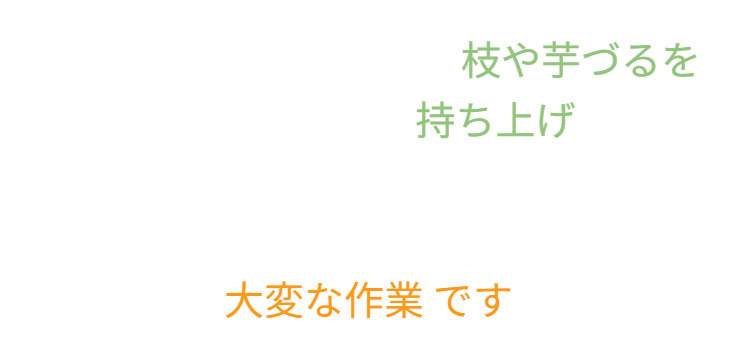 「バラ用支柱」のコンセプト画像。「目線の高さで楽しめる垂直栽培の魅力」。高さ200cmの支柱が、花や緑を人の視界レベル（アイレベル）まで持ち上げ、美しい景観を作ると同時に、外部からの視線を自然に遮る「見せないガード」としての機能を示唆。 / Concept text: "Charm of Vertical Cultivation enjoyed at Eye Level." Indicates that the 200cm trellis lifts plants to human height, creating a beautiful floral landscape that also serves as a natural privacy shield against outside eyes.