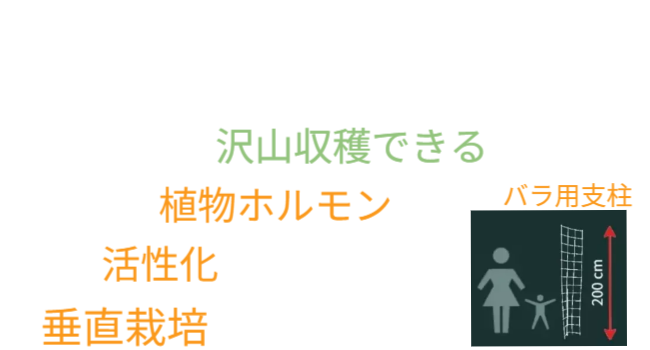 「バラ用支柱」の省スペース性を象徴するキャッチコピー。「新聞紙1枚程（見開き）の広さがあれば、さつまいもの垂直栽培が可能です」というメッセージ。狭小地でも設置可能なため、都市型ガーデニングや防犯対策の導入障壁を下げる。 / Catchphrase highlighting space efficiency: "Vertical Sweet Potato Cultivation is possible with just the space of a spread newspaper."