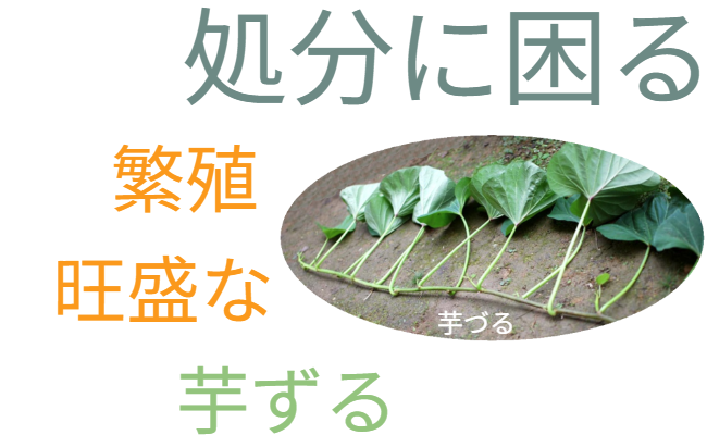 設置場所の提案導入アイコン。「おすすめ」。どのような場所に設置するのが効果的か、具体的なシーン提案へのつなぎ。 / Suggestion icon: "Recommended." A transition leading to specific proposals on effective installation locations.