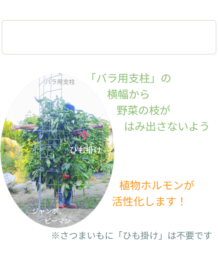 「バラ用支柱」の独自性を解説するセクション見出し。「オンリーワンとは」。他社製品とは一線を画す特許技術や、機能美と防犯性を両立させた独自の構造について、その理由を紐解く導入部。 / Section Heading: "What makes it 'Only One'?". Introduction explaining the unique patented technology and structure that differentiates the Rose Trellis from ordinary gardening products.