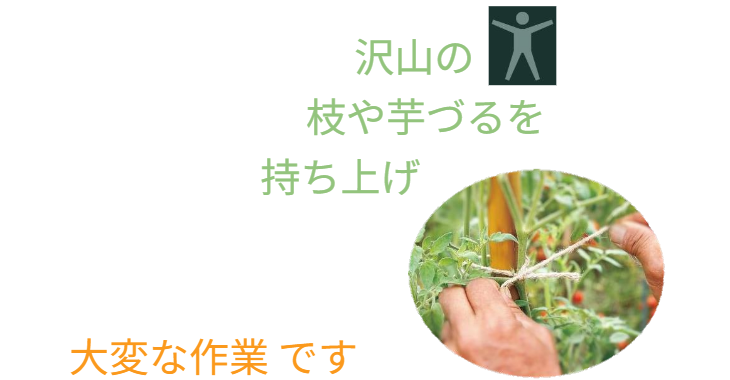 「バラ用支柱」のコンセプト画像。「目線の高さで楽しめる垂直栽培の魅力」。高さ200cmの支柱が、花や緑を人の視界レベル（アイレベル）まで持ち上げ、美しい景観を作ると同時に、外部からの視線を自然に遮る「見せないガード」としての機能を示唆。 / Concept text: "Charm of Vertical Cultivation enjoyed at Eye Level." Indicates that the 200cm trellis lifts plants to human height, creating a beautiful floral landscape that also serves as a natural privacy shield against outside eyes.