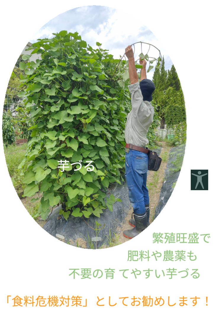 「バラ用支柱」のコンセプト画像。「目線の高さで楽しめる垂直栽培の魅力」。高さ200cmの支柱が、花や緑を人の視界レベル（アイレベル）まで持ち上げ、美しい景観を作ると同時に、外部からの視線を自然に遮る「見せないガード」としての機能を示唆。 / Concept text: "Charm of Vertical Cultivation enjoyed at Eye Level." Indicates that the 200cm trellis lifts plants to human height, creating a beautiful floral landscape that also serves as a natural privacy shield against outside eyes.