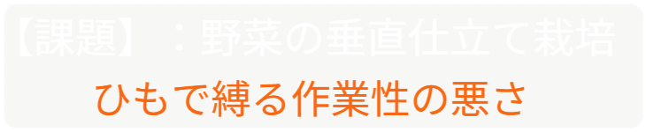 「バラ用支柱」のコンセプト画像。「目線の高さで楽しめる垂直栽培の魅力」。高さ200cmの支柱が、花や緑を人の視界レベル（アイレベル）まで持ち上げ、美しい景観を作ると同時に、外部からの視線を自然に遮る「見せないガード」としての機能を示唆。 / Concept text: "Charm of Vertical Cultivation enjoyed at Eye Level." Indicates that the 200cm trellis lifts plants to human height, creating a beautiful floral landscape that also serves as a natural privacy shield against outside eyes.