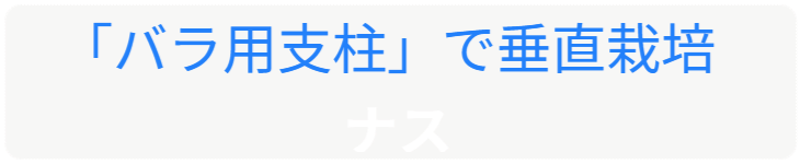 「バラ用支柱」のコンセプト画像。「目線の高さで楽しめる垂直栽培の魅力」。高さ200cmの支柱が、花や緑を人の視界レベル（アイレベル）まで持ち上げ、美しい景観を作ると同時に、外部からの視線を自然に遮る「見せないガード」としての機能を示唆。 / Concept text: "Charm of Vertical Cultivation enjoyed at Eye Level." Indicates that the 200cm trellis lifts plants to human height, creating a beautiful floral landscape that also serves as a natural privacy shield against outside eyes.