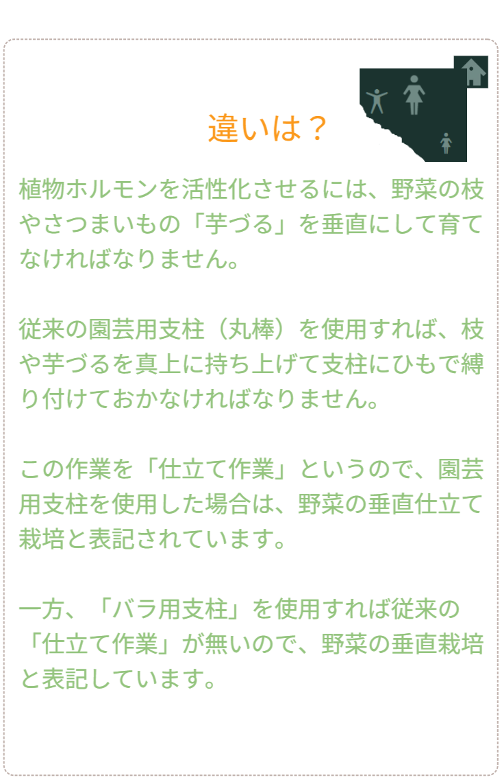 Q&A 03：強度と設置のコツ。「強風でも大丈夫か？」。基本は杭1本で自立するが、オカワカメのような密集する植物や強風地域では、杭を最大2～3本まで追加して補強できる「可変構造」であることを解説。 / Q&A 03: Strength and Installation Tips. "Is it wind-resistant?" Explains the adaptable structure: while one stake is standard, users can add up to 2-3 stakes for reinforcement in high-wind areas or for dense plants like Okinawa Spinach.
