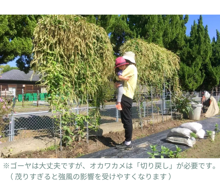 「バラ用支柱」のコンセプト画像。「目線の高さで楽しめる垂直栽培の魅力」。高さ200cmの支柱が、花や緑を人の視界レベル（アイレベル）まで持ち上げ、美しい景観を作ると同時に、外部からの視線を自然に遮る「見せないガード」としての機能を示唆。 / Concept text: "Charm of Vertical Cultivation enjoyed at Eye Level." Indicates that the 200cm trellis lifts plants to human height, creating a beautiful floral landscape that also serves as a natural privacy shield against outside eyes.