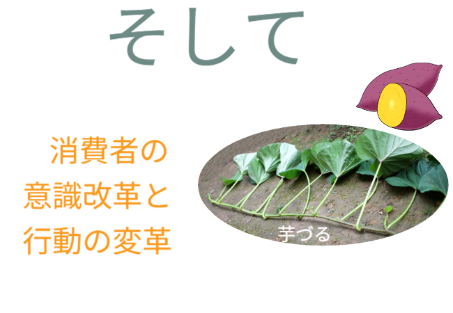 夏の葉野菜に「芋づる」活用するには、芋づるを市場に乗せないで消費者のおうちで栽培＆欠かせないものが「垂直栽培」です。 ※園芸用支柱（ダイソー）を使った使用例は後半です