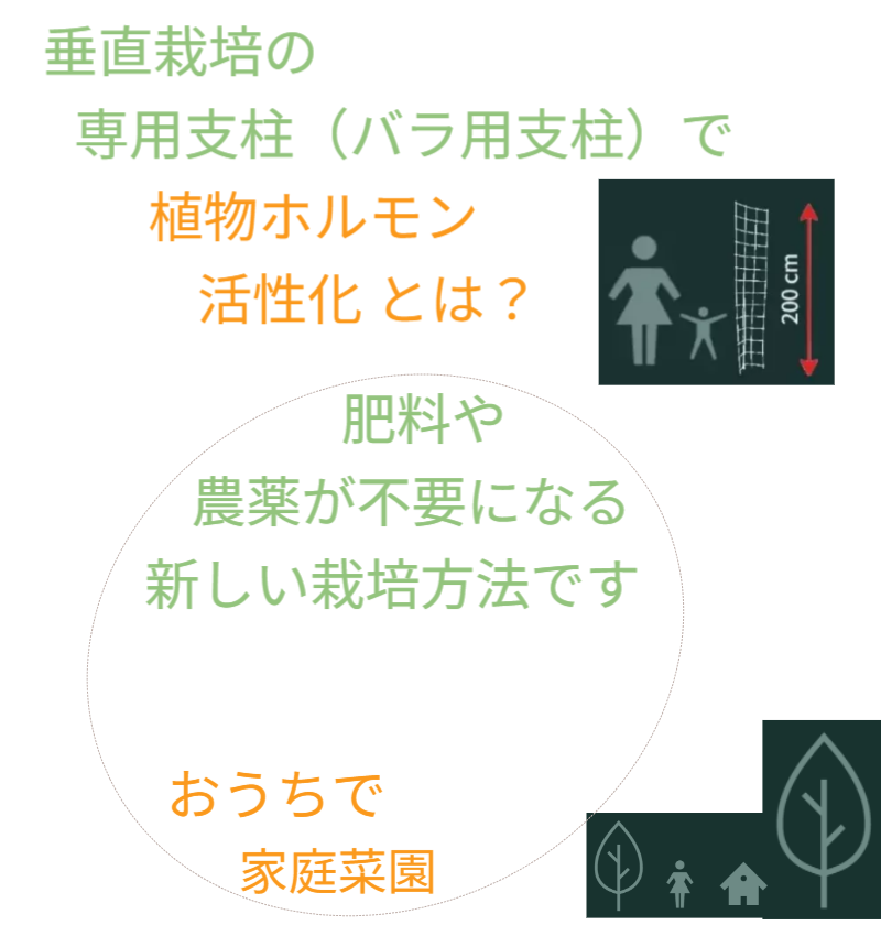 アイデアメッシュの理念（夢）を伝えるメッセージ画像。ロゴと共に「犯罪の少ない安心なまちづくり」というビジョンを掲げ、バラ用支柱がその一助となることを願う宣言文。前半の「機能解説」から、後半の「社会実装」へとテーマを繋ぐ、サイト構成上の重要な分岐点。 / Corporate philosophy image featuring the "Idea Mesh" logo and the word "Dream." Declares the vision of "building safe towns with less crime," expressing the hope that the Rose Trellis will serve this cause. Acts as a strategic bridge moving from product features to social implementation.
