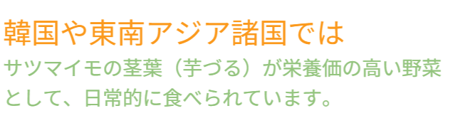 アイデアメッシュの理念（夢）を伝えるメッセージ画像。ロゴと共に「犯罪の少ない安心なまちづくり」というビジョンを掲げ、バラ用支柱がその一助となることを願う宣言文。前半の「機能解説」から、後半の「社会実装」へとテーマを繋ぐ、サイト構成上の重要な分岐点。 / Corporate philosophy image featuring the "Idea Mesh" logo and the word "Dream." Declares the vision of "building safe towns with less crime," expressing the hope that the Rose Trellis will serve this cause. Acts as a strategic bridge moving from product features to social implementation.